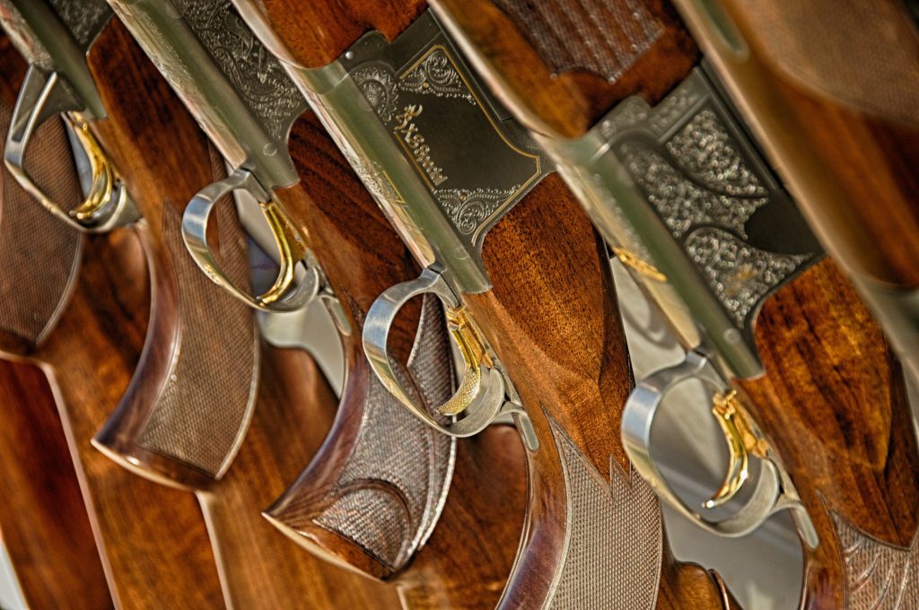 gun myths
