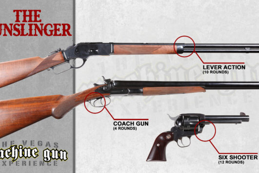 The Gunslinger